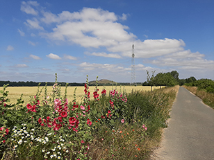 Blick zum Sehnder Berg